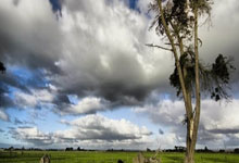 打疯了！湖人单节净胜18分：东契奇轰19分，詹姆斯5中0哑火.