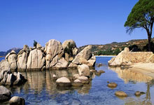 希腊-苏格兰，麦克托米奈点射制胜.